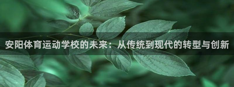 杏悦2体育