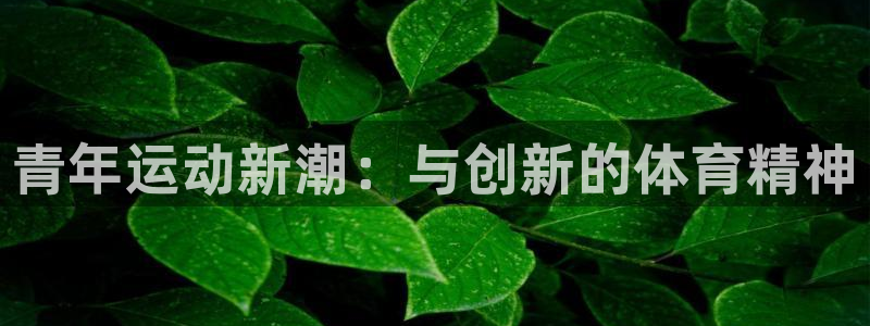 杏悦22登录