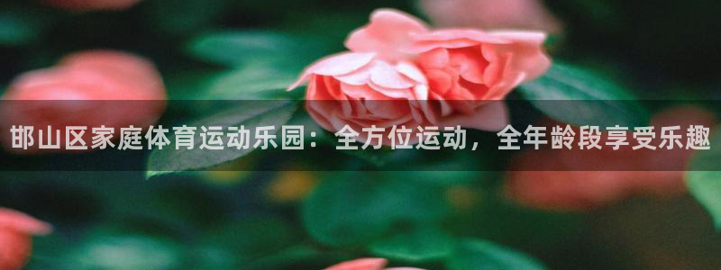 成都意昂电子有限公司