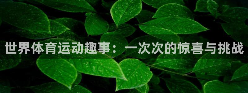 杏悦2体育3在线注册