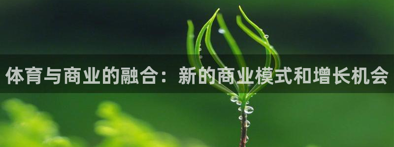 杏悦2体育官网登录