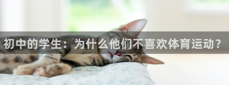佛山市南海意昂机电仪器有限公司