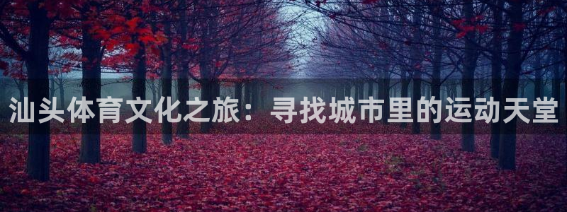 杏悦22平台注册