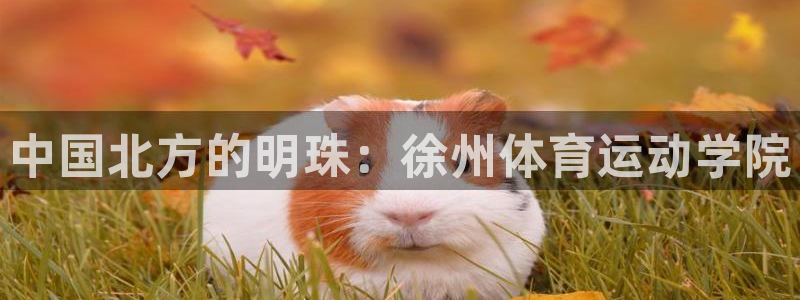 意昂体育官网登录