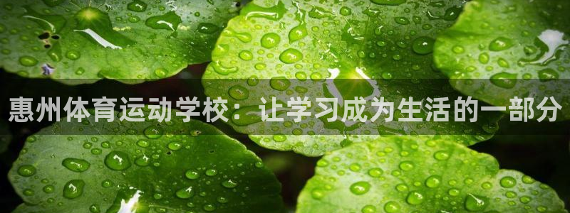 杏悦2体育和杏耀是哪个公司的
